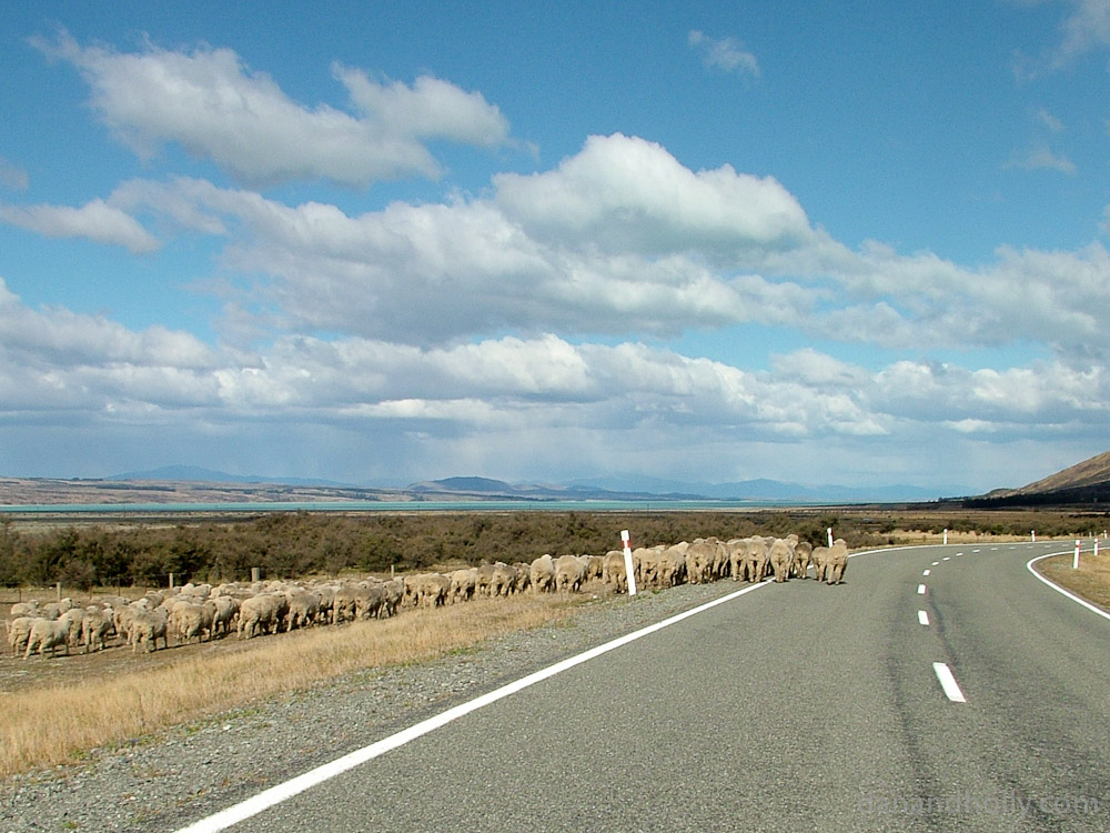 A road in New Zealand